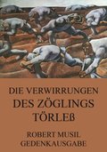 Die Verwirrungen des Zöglings Törleÿ