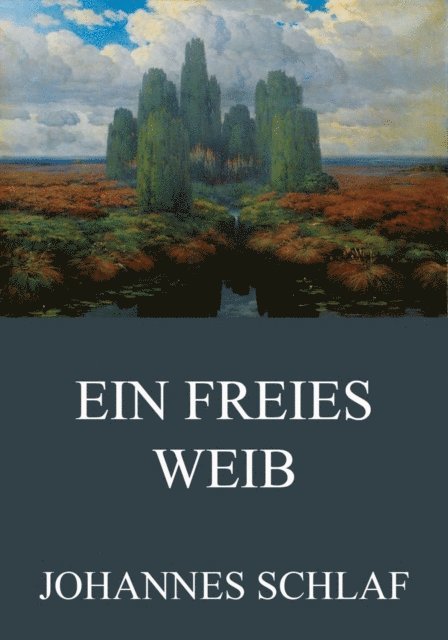 Johannes Schlaf - Ein freies Weib, E-bok