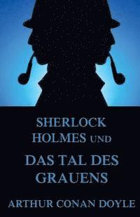 Arthur Conan Doyle - Sherlock Holmes und das Tal des Grauens, Häftad