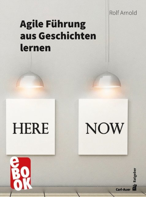 Rolf Arnold - Agile Führung aus Geschichten lernen, E-bok