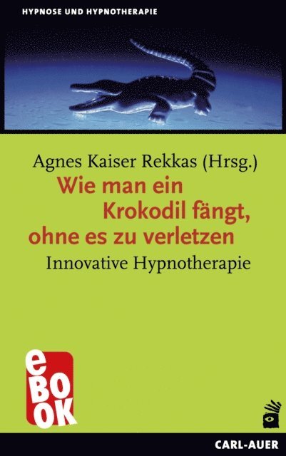 Agnes Kaiser Rekkas - Wie man ein Krokodil fängt, ohne es zu verletzen, E-bok