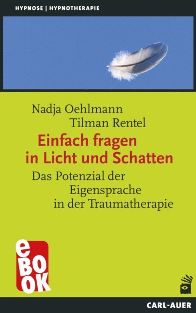 Tilman Rentel, Nadja Oehlmann - Einfach fragen in Licht und Schatten, E-bok
