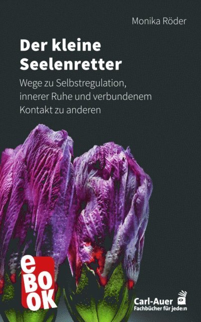 Monika Roder - Der kleine Seelenretter, E-bok
