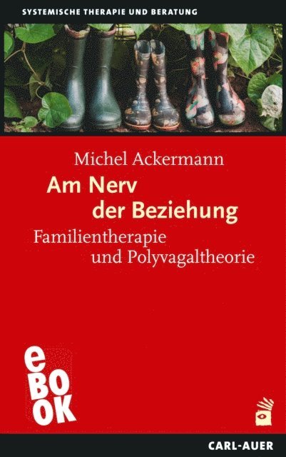 Michel Ackermann - Am Nerv der Beziehung, E-bok