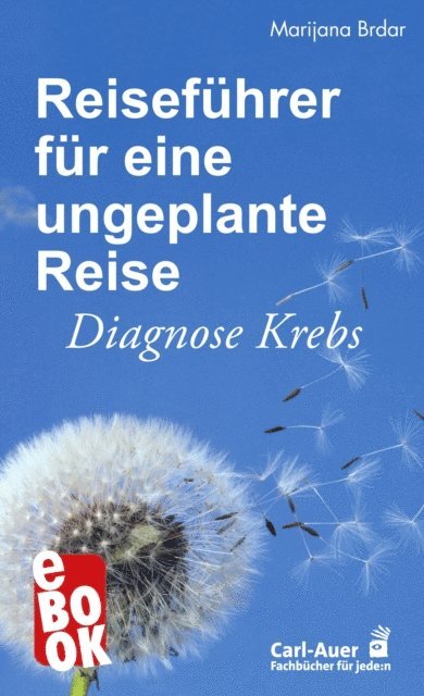 Marijana Brdar - Reiseführer für eine ungeplante Reise, E-bok