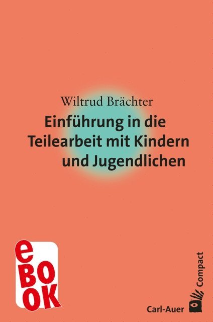 Wiltrud Brachter - Einführung in die Teilearbeit mit Kindern und Jugendlichen, E-bok