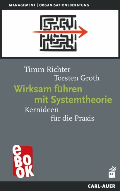 Torsten Groth, Timm Richter - Wirksam fuhren mit Systemtheorie, E-bok