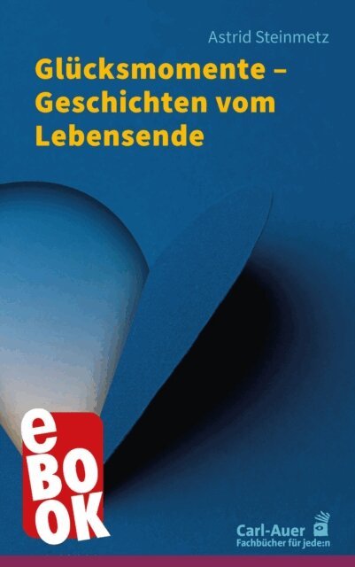 Astrid Steinmetz - Glucksmomente - Geschichten vom Lebensende, E-bok