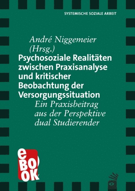 Andre Niggemeier - Psychosoziale Realitäten zwischen Praxisanalyse und kritischer Beobachtung der Versorgungssituation, E-bok