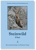 Steinwildfibel
