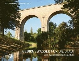 Peter Payer - Gebirgswasser für die Stadt, Inbunden