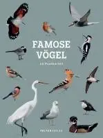 Famose Vögel - Postkartenbuch, Häftad. Tillgänglighet: Lägg i varukorg