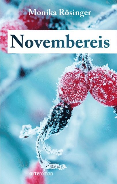 Monika Rosinger - Novembereis, E-bok