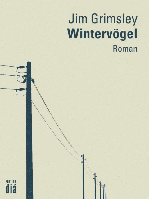 Jim Grimsley - Wintervögel, E-bok
