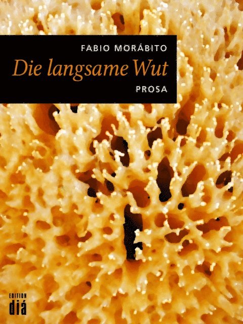 Fabio Morabito - Die langsame Wut, E-bok