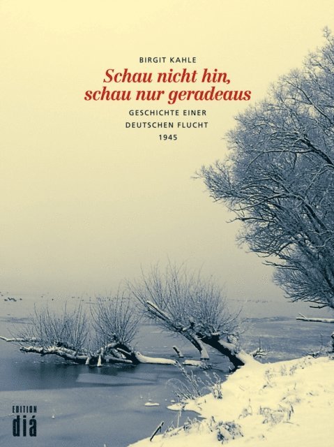 Birgit Kahle - Schau nicht hin, schau nur geradeaus, E-bok