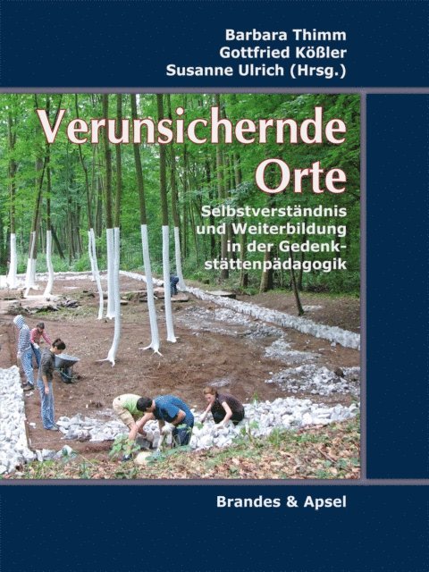 Oliver von Wrochem, Helmut Wretzel, Imke Scheurich, Wolf Kaiser, Verena Haug, Uta George, Christian Geiler, Monique Eckmann - Verunsichernde Orte, E-bok