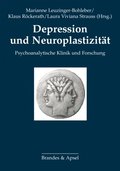 Depression und Neuroplastizitÿt