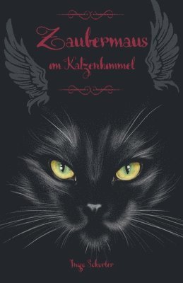 Ingo Schorler - Zaubermaus im Katzenhimmel, Häftad