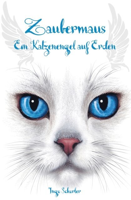 Ingo Schorler - Zaubermaus, E-bok