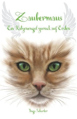Ingo Schorler - Zaubermaus - Ein Katzenengel zurück auf Erden, Häftad
