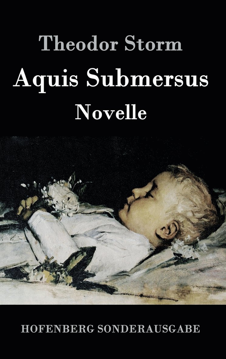 Theodor Storm - Aquis Submersus, Inbunden