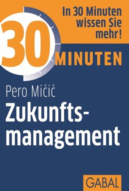 Pero Micic - 30 Minuten Zukunftsmanagement, E-bok