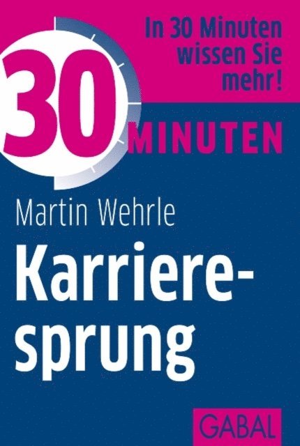 Martin Wehrle - 30 Minuten Karrieresprung, E-bok
