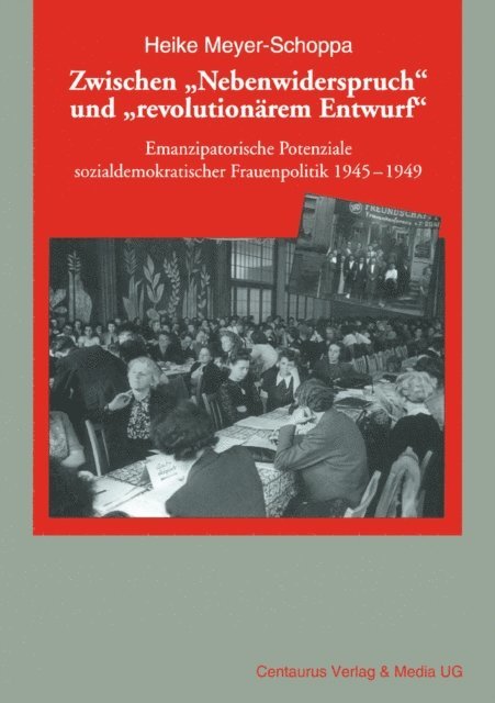 Heike Meyer-Schoppa - Zwischen "Nebenwiderspruch" und "revolutionärem Entwurf", E-bok