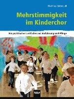 Matthias Stubenvoll - Mehrstimmigkeit im Kinderchor, Häftad
