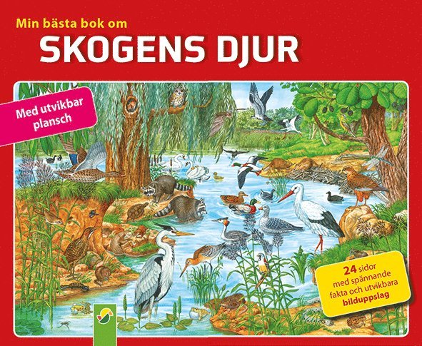 Bettina Menzel - Min bästa bok om skogens djur, Inbunden