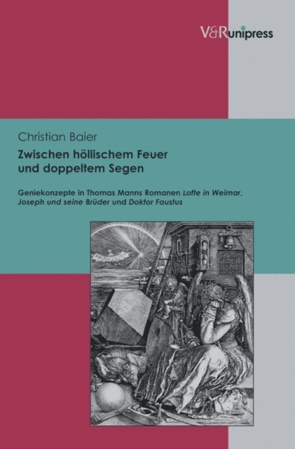 Christian Baier - Zwischen höllischem Feuer und doppeltem Segen, E-bok