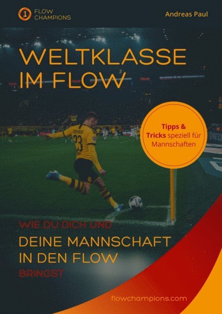 Andreas Paul Bosch - Weltklasse im Flow, E-bok