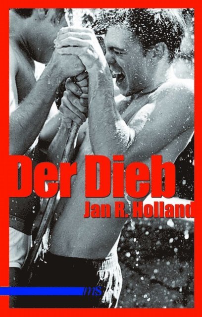 Jan R Holland - Der Dieb, E-bok