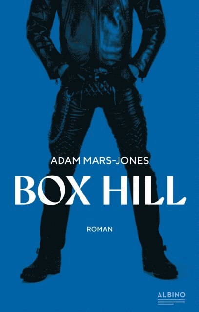 Adam Mars-Jones - Box Hill, E-bok