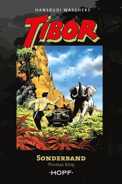 Thomas Knip - Tibor Sonderband, E-bok