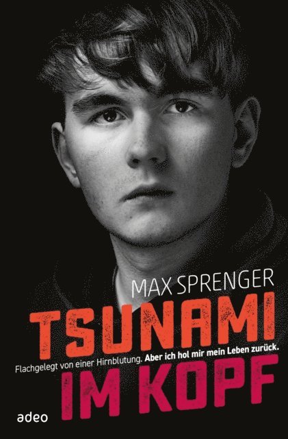 Max Sprenger - Tsunami im Kopf, E-bok