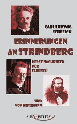 Erinnerungen an Strindberg nebst Nachrufen für Ehrlich und von Bergmann