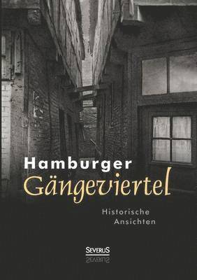 Landesbildstelle Hansa Hamburg - Hamburger Gängeviertel. Historische Ansichten, Häftad