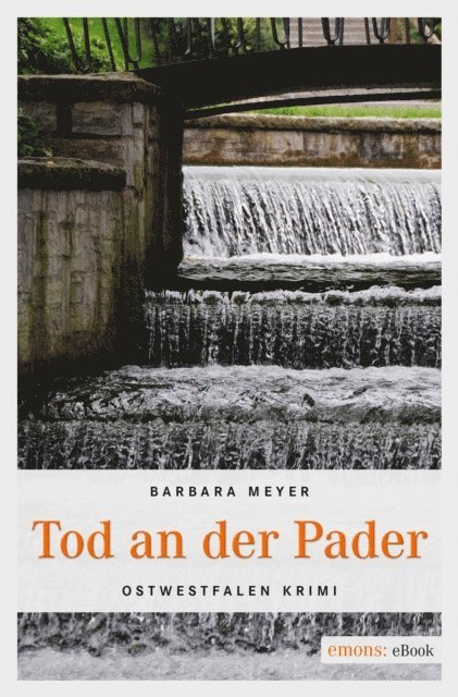 Barbara Meyer - Tod an der Pader, E-bok