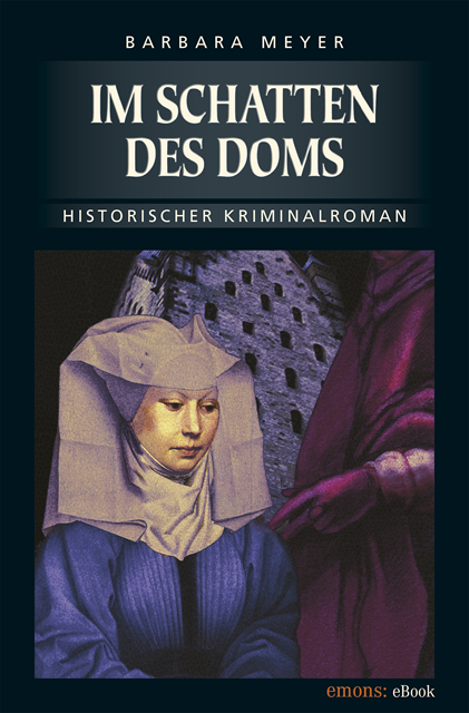 Barbara Meyer - Im Schatten des Doms, E-bok
