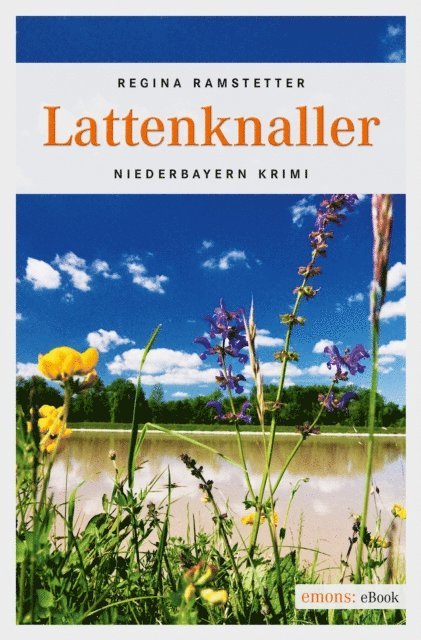 Regina Ramstetter - Lattenknaller, E-bok