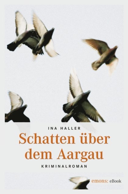 Ina Haller - Schatten über dem Aargau, E-bok