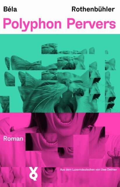 Bela Rothenbuhler - Polyphon Pervers, E-bok