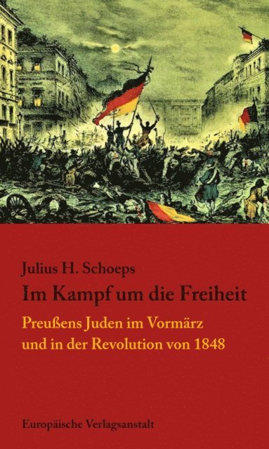 Julius H. Schoeps - Im Kampf um die Freiheit, E-bok