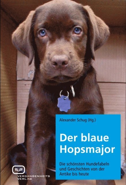 Alexander Schug - Der blaue Hopsmajor, E-bok