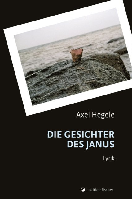 Axel Hegele - Die Gesichter des Janus, E-bok