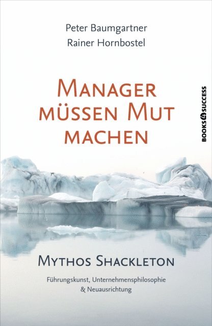 Rainer Hornbostel, Peter Baumgartner - Manager müssen Mut machen, E-bok