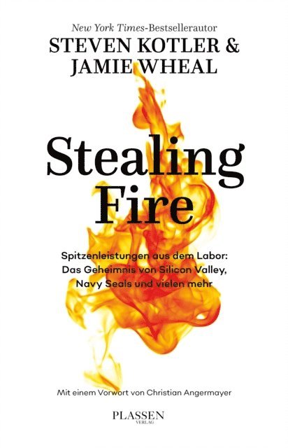 Jamie Wheal, Steven Kotler - Stealing Fire, E-bok