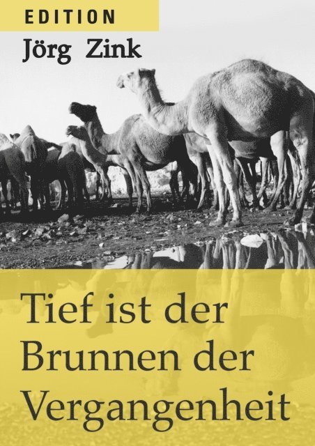 Jorg Zink - Tief ist der Brunnen der Vergangenheit, E-bok
